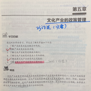 第五章 文化产业的政策管理