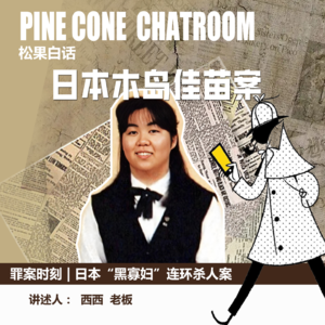 48.罪案时刻| 日本女海王，半年杀害三名未婚夫，敛财过亿