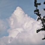 我思故我在1