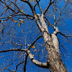 小刘➡️尸体复活的一集