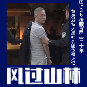 EP36.盘踞昌江三十年，黄鸿发特大黑社会团体覆灭记
