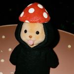 茶茶喝几口