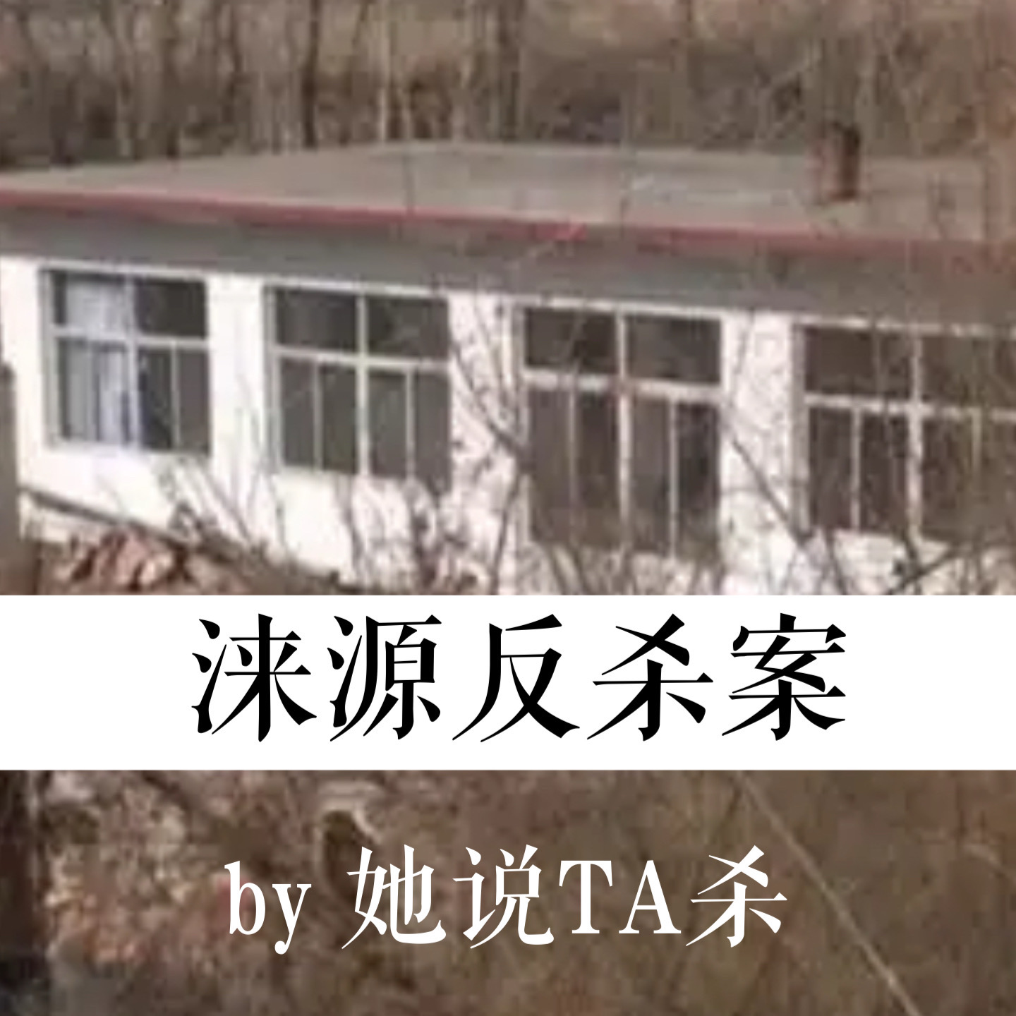 2. 这次，她终于活了下来：河北涞源反杀案 episode artwork