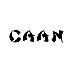 华岸艺术CAAN