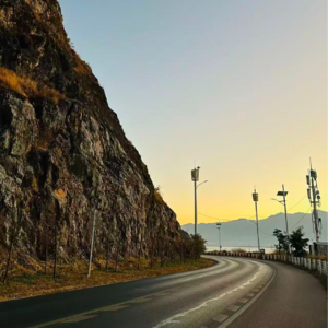 从完全陌生到生活点滴,阴性能量之花绽放的故事:对话Solluna