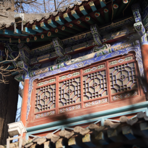 135 修行在道场,淬炼在人间——在寺庙和道观里的日子