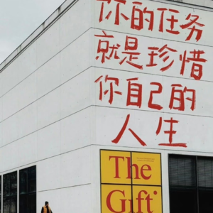 Vol.33「沉默与表演」朋友圈里，我们为何不敢做自己？