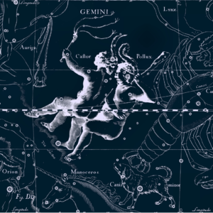 占星读书会 007｜上升双子