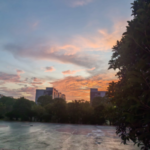 爱你老己 今天的主题