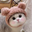 和毛毛打交道的思彤