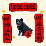 今天好美栗