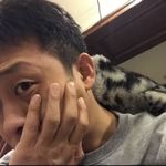 司康真的太好吃了