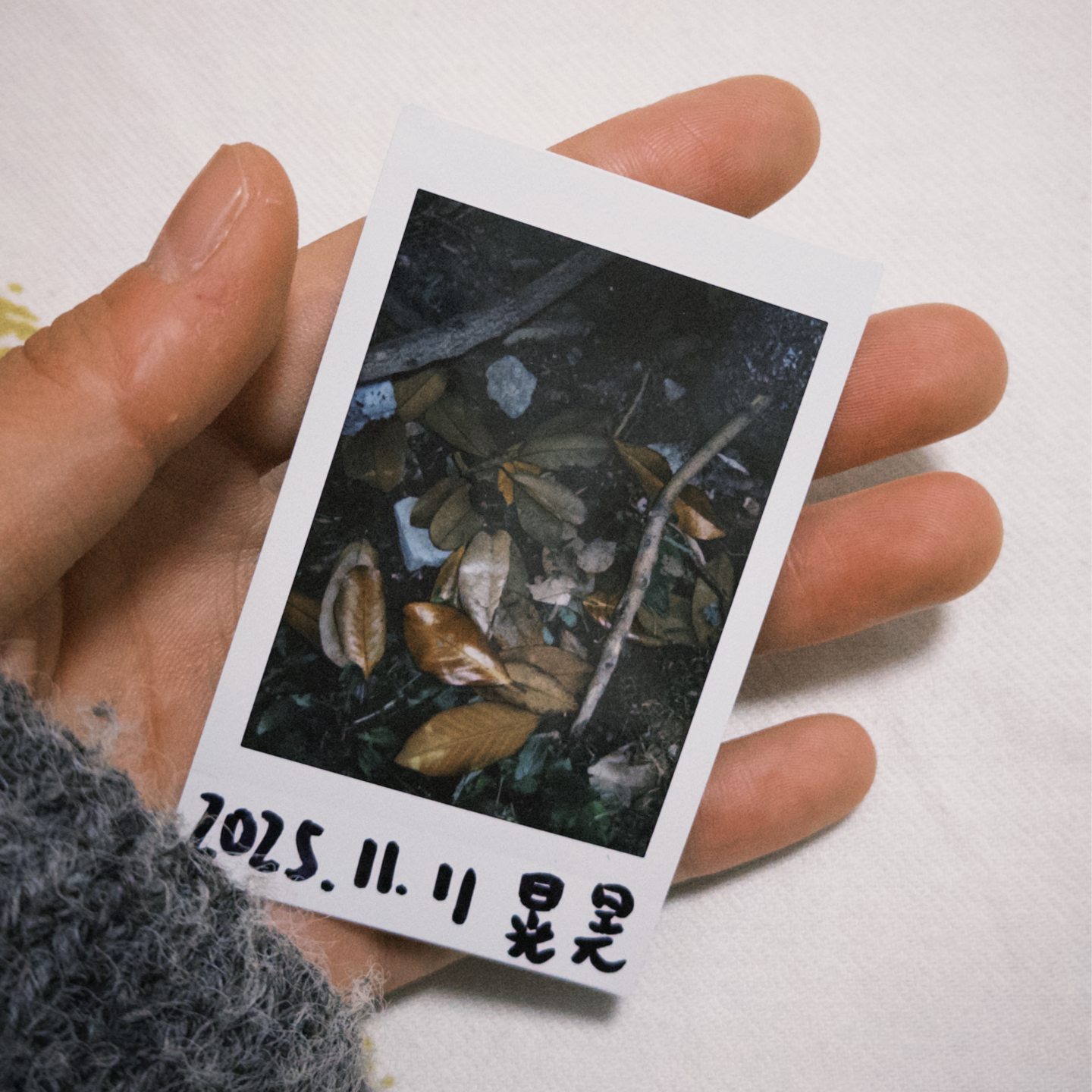 07.小猫不说话，但它什么都知道 episode artwork