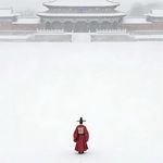 洋芋肉丝