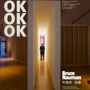 163 美国后极简主义艺术家 布鲁斯.瑙曼