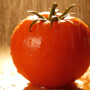 “亚洲生菜大王”的二次革命，他如何用一颗番茄做到10个亿？