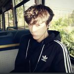 buss_Dovoh