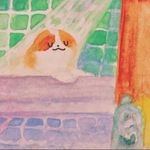 泡芙云w