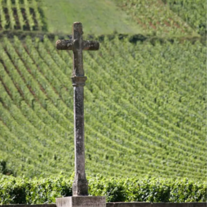 EP05：装杯指南之葡萄酒产区｜大吉带你搞懂葡萄酒装杯金字塔的最高层——勃艮第，还有"产区鄙视链"的秘密