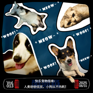 VOL.013 快乐宠物指南：人类纷纷扰扰，小狗从不内耗！