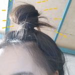 吃包包的猪猪侠