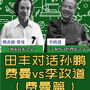 田丰对话孙鹏：费曼vs李政道（费曼篇）