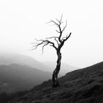 Unsure-7955