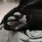请给我勇气力量