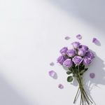 犄角旮旯防空洞