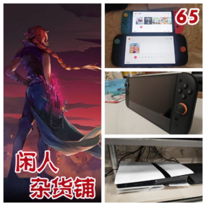 【65】【游戏尘寰】两个另类老玩家鸟枪换炮后的深夜闲谈