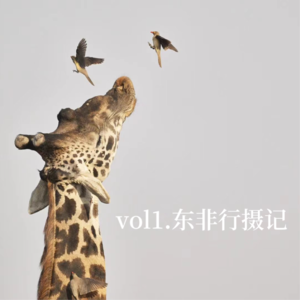 东非行摄记：