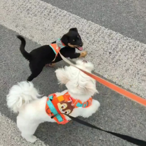 vol.20 因为这个世界需要有活力的人