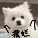 哇哇_7gYp