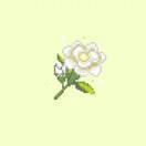 茉_wfbE