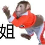 努力学习的仙人粄