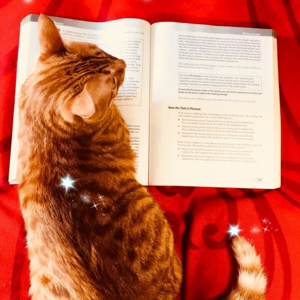 雅思口语Part 3高分语料 | Cash and Money