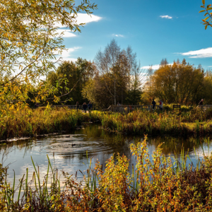 166 公园景观 伦敦湿地公园