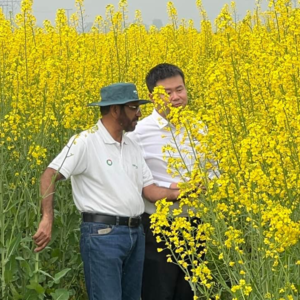 从水果甜不甜，看一个国家的农业挣扎