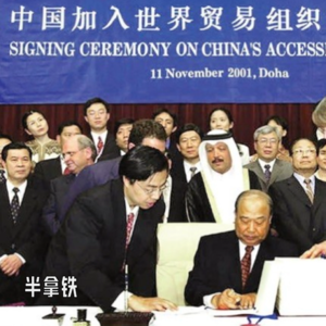 No.132 🌏️ 中国入世