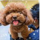 Hiyoung_YYY