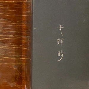 367 上海欢乐的寂静
