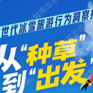 Z 世代承包冰雪经济！新京智库揭秘：3000-5000 元预算成主流