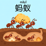 EP58｜蚂蚁－小小的蚂蚁王国是怎么运作的？