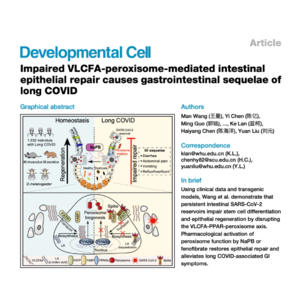 490-Peroxisome-Mediated Intestinal Repair in Long COVID
