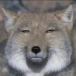 想去庄园整点蛆
