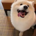 揽书岑