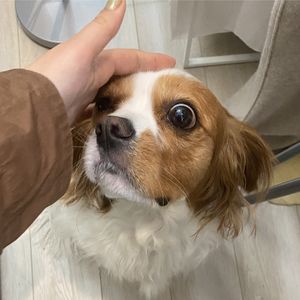 刚刚好hh