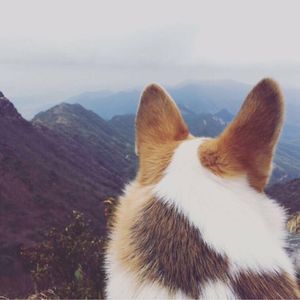 podcaster-avatar