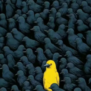 如何戒掉我的讨好型人格？