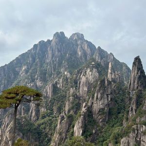 《叫魂：1768年中国妖术大恐慌》：一件荒诞事件带来的思考